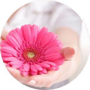 różowy kwiat na dłoni